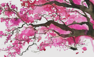 Sakura o cerezo
